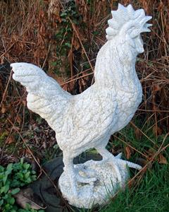 Bird Bath