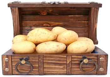 Hamper