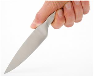 Stainless Steel Paring Knife