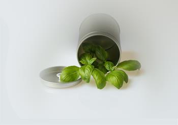 Stainless Steel Container